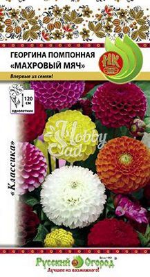 Цветы Георгина Махровый мяч смесь (0,2 г) Русский Огород