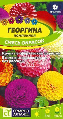 Цветы Георгина Помпонная смесь (0,2 г) Семена Алтая