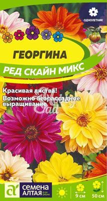 Цветы Георгина Ред Скайн Микс (0,2 г) Семена Алтая