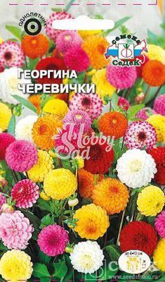 Цветы Георгина Черевички высокорослая помпонная смесь (0,2 г) Седек