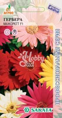 Цветы Гербера Джемсона Мажоретт (3 шт) Агрос