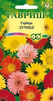 Цветы Гербера Лучики (0,05 г) Гавриш 