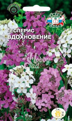 Цветы Гесперис Вдохновение (1 г) Седек