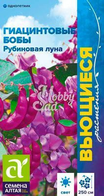 Цветы Гиацинтовые бобы Рубиновая Луна вьющиеся (1 г) Семена Алтая серия Вьющиеся растения