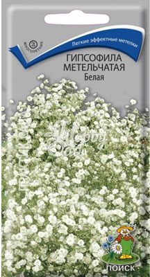 Цветы Гипсофила Белая метельчатая (0,2 г) Поиск