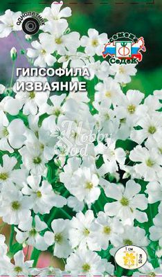 Цветы Гипсофила Изваяние (0,2 г) Седек