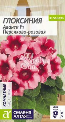 Цветы Глоксиния Аванти Персиково-розовая F1 (8 шт) Семена Алтая Комнатные