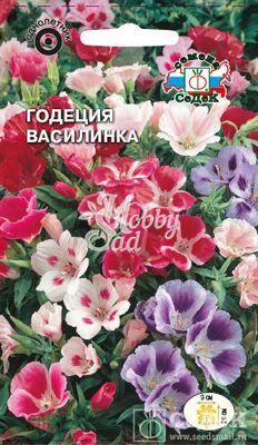 Цветы Годеция Василинка (0,15 г) Седек