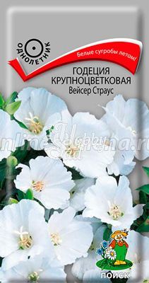 Цветы Годеция Вейсер Страус крупноцветковая (0,2 г) Поиск