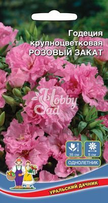 Цветы Годеция Розовый Закат крупноцветковая  (0,1 г) Уральский Дачник