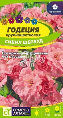 Цветы Годеция Сибил Шервуд (0,2 г) Семена Алтая