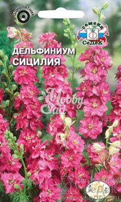 Цветы Дельфиниум Сицилия (0,3 г) Седек