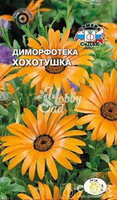 Цветы Диморфотека Хохотушка (0,2 г) Седек