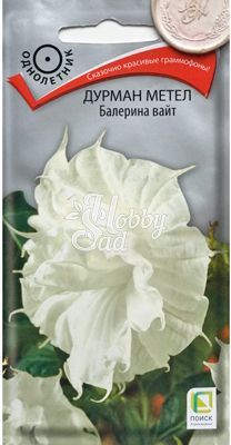 Цветы Дурман метел Балерина Вайт (обыкновенный) (3 шт) Поиск