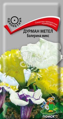 Цветы Дурман метел Балерина микс (обыкновенный) (3 шт) Поиск