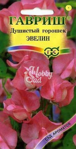 Цветы Душистый горошек Эвелин (1 г) Гавриш серия Устойчив к заморозкам!