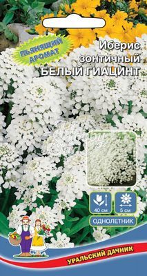 Цветы Иберис Белый Гиацинт зонтичный (0,15 г) Уральский Дачник