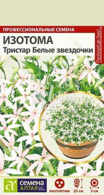 Цветы Изотома Тристар Белые звездочки (5 шт) Семена Алтая