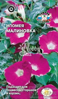 Цветы Ипомея Малиновка (малиново-красная с белой каймой) (0,15 г) Седек