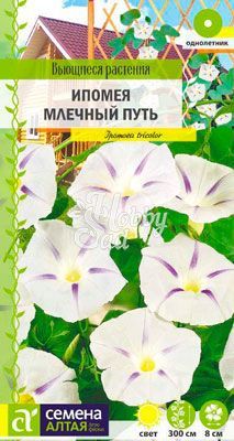 Цветы Ипомея Млечный путь (0,5 г) Семена Алтая серия Вьющиеся растения