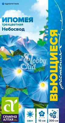 Цветы Ипомея Небосвод (0,5 г) Семена Алтая серия Вьющиеся растения