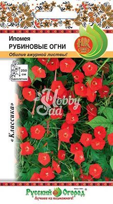 Цветы Ипомея Рубиновые огни (0,5 г) Русский Огород