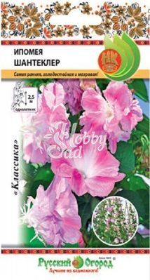 Цветы Ипомея Шантеклер (3 шт) Русский Огород