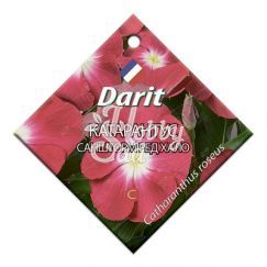 Цветы Катарантус Саншторм Ред  Хало (10 шт) Дарит