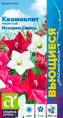 Цветы Квамоклит Искорки смесь перистая (0,2 гр) Семена Алтая Вьющиеся растения