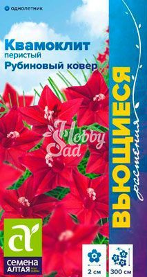 Цветы Квамоклит Рубиновый ковер перистый (0,2 г) Семена Алтая серия Вьющиеся растения