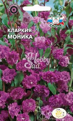 Цветы Кларкия Моника (0,2 г) Седек