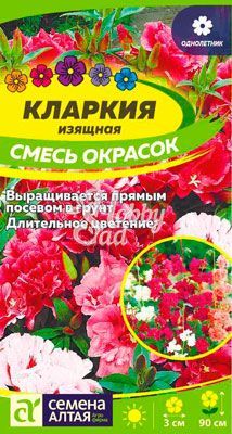 Цветы Кларкия Смесь окрасок (0,3 г) Семена Алтая