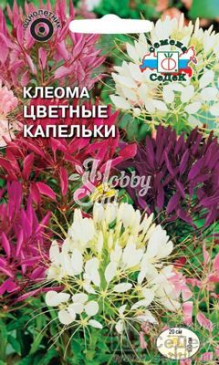 Цветы Клеома Цветные капельки (0,2 г) Седек