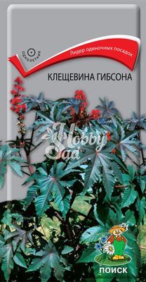 Цветы Клещевина Гибсона (2 гр) Поиск