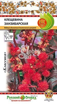 Цветы Клещевина Занзибарская (5 шт) Русский Огород