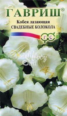 Цветы Кобея Свадебные колокола (5 шт) Гавриш