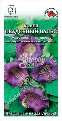 Цветы Кобея Свадебный Вальс (0,3 г) фиолетовая Сотка