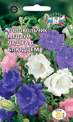 Цветы Колокольчик Чашка с блюдцем смесь (0,1 г) Седек