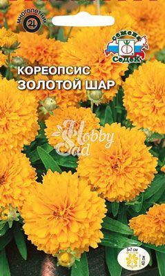 Цветы Кореопсис Золотой шар  (0,025г) Седек