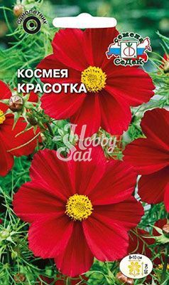 Цветы Космея Красотка бипиннатус ярко-красная (0,5 г) Седек
