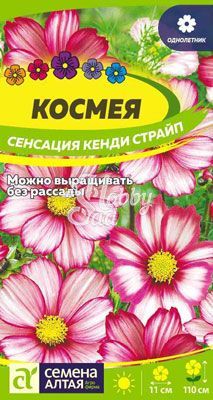 Цветы Космея Сенсация Кенди Страйп (0,5 гр) Семена Алтая