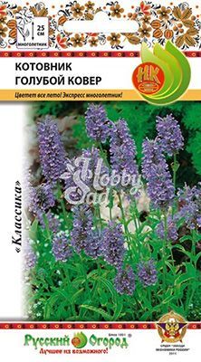 Цветы Котовник Голубой ковер мн (0,02 г) Русский Огород