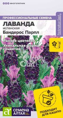 Цветы Лаванда Бандерос Парпл испанская (5 шт) Семена Алтая