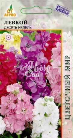 Цветы Левкой Десять недель (0,2 г) Агрос