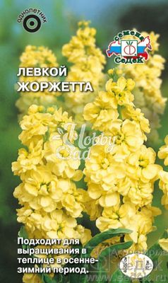 Цветы Левкой Жоржетта  (0,1 г) Седек