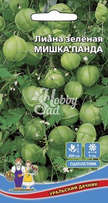 Цветы Лиана Мишка Панда зеленая (0,4 г) Уральский Дачник