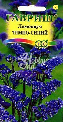 Цветы Лимониум темно-синий (0,1 г) Гавриш 