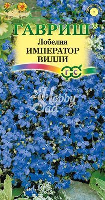 Цветы Лобелия Император Вилли (0,05 г) Гавриш