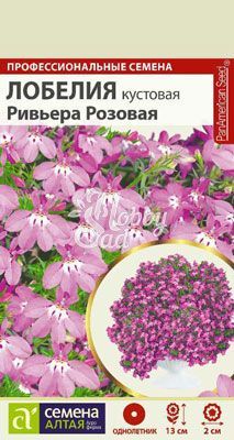 Цветы Лобелия Ривьера Розовая кустовая (8 шт) Семена Алтая