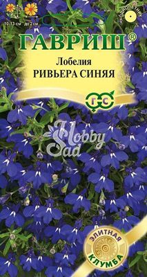 Цветы Лобелия Ривьера Синяя (5 шт) Гавриш серия Элитная клумба